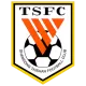 Logo Shandong Taishan Football Club